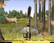Flash Bow hunter online szarvasvadász játék!